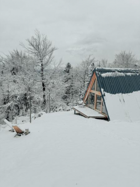 A-frame Forest Nest